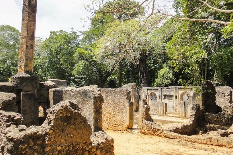 Ruins of Gedi. 